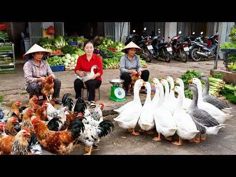 1088 Days Havesting Many Chicken, Ducks,Cabbage and Bananas, Go To Market Sell | Farm Farm TV