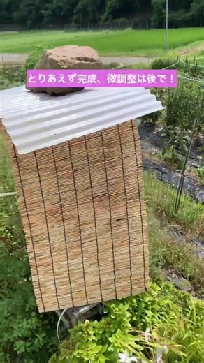 暑すぎる…日本ミツバチを守るため、巣箱にすだれを掛けました【猛暑対策】 #日本蜜蜂 #重箱式巣箱 #shorts