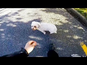 BIKERS HELPING ANIMALS & OTHERS | REAL LIFE HEROES