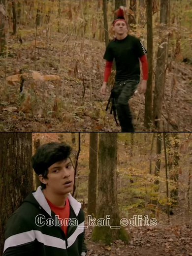 Hawk vs Miguel: Netflix Showdown