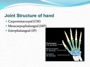 Experiment 9 mechanics-To understand the wrist movement analysis using opensim software