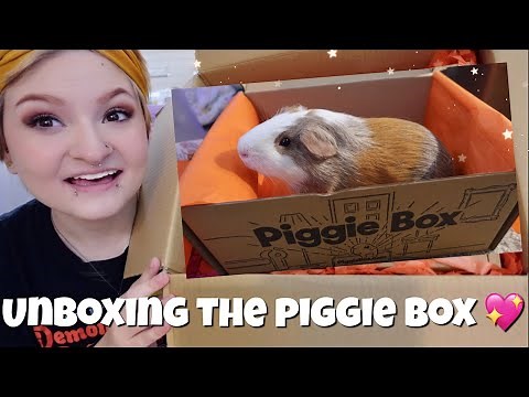 unboxing The Piggie Box✨ | guinea pig toy haul |