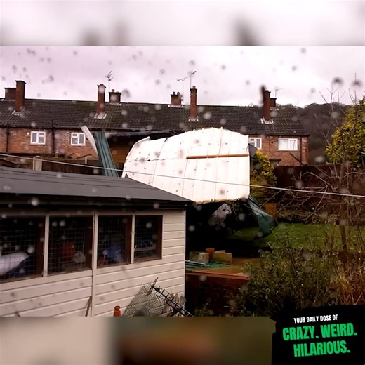 891K views · 10K reactions | Weather's Got Mood Swings | Ricky Forbes | Facebook