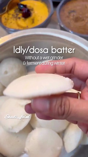 How to Ferment Dosa/Idly Batter Without Traditional Wet Mixer