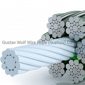 [Hot Item] F619 S-Sfc 1770n/mm2 D6 B Galvanized Fiber Core Elevator Rope