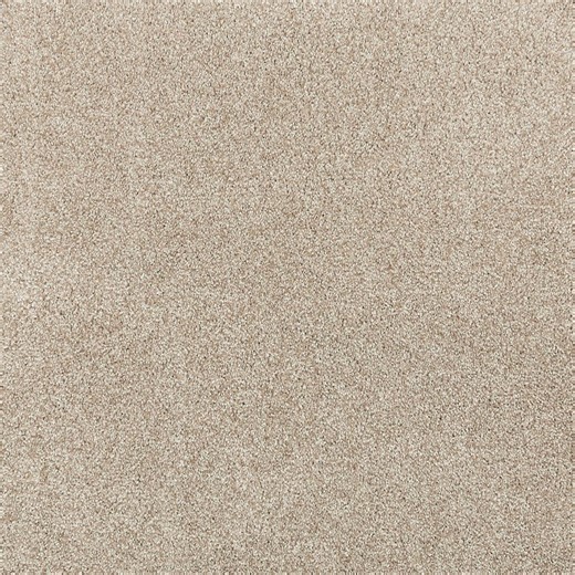 Reviews for Lifeproof with Petproof Technology Plush Dreams I - Serene-Beige 12 ft. 39 oz. Triexta Texture Carpet - Installation Required | Pg 1 - The Home Depot