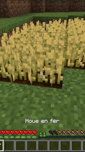 Shouboins sur TikTok