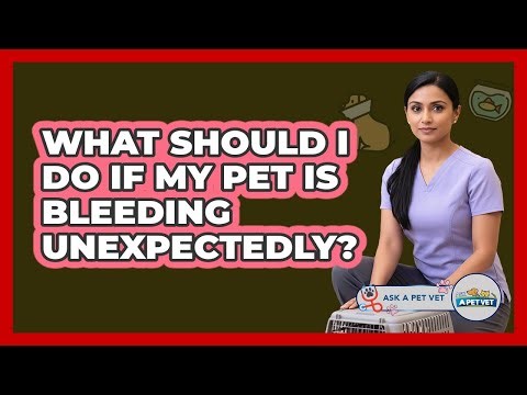 What Should I Do If My Pet Is Bleeding Unexpectedly?