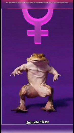 🧬 Amazing Frog Anatomy Explained 🐸 | Biology Experiment 🔬 #Science #Frog #Biology #Shorts #viral
