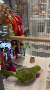 26K views · 1.6K reactions |  Happy Blessed Sunday everyone ...