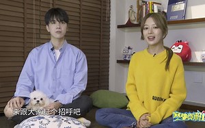 专访解说PYL：平队眼中S10的七宗“最”