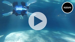 The shape-shifting robo-turtle