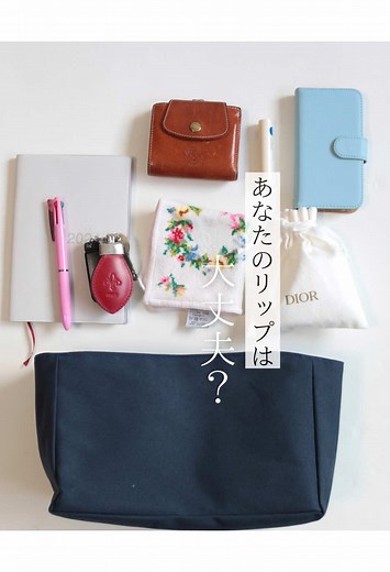 リップクリームの収納方法とバッグインバッグの提案