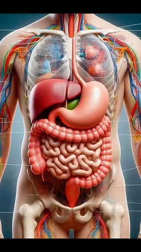 Health tips ✨✨ #health #dermatologist #remedies #beautytips #beauty #koreanbeauty #kbeauty #usa #kpop #fyp #DermatologyCare | Health tips