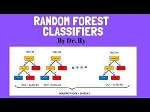 Random Forest Classifiers for Beginners | Dr. Ry @Stemplicity