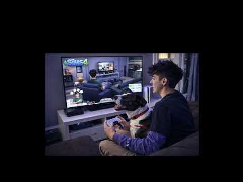 SIMS 4 - Wizards x Fairies