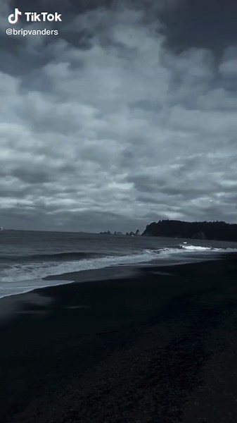 Exploring the Beauty of Washington's Black Sand Beaches