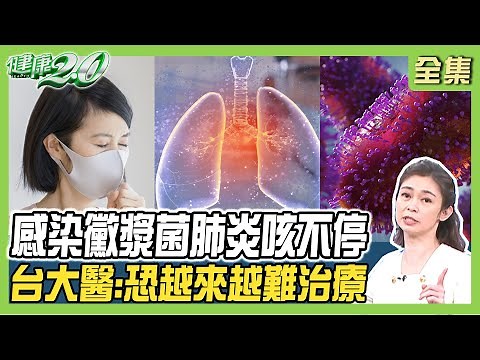 感染黴漿菌肺炎咳不停 台大醫：恐越來越難治療！一人染病全家中標 會走路的肺炎症狀？ 健康2.0 20231126【完整版】 鄭凱云 蕭世欣 吳其穎 陳潮宗 梁惠雯 彥寬 ‪@tvbshealth20‬