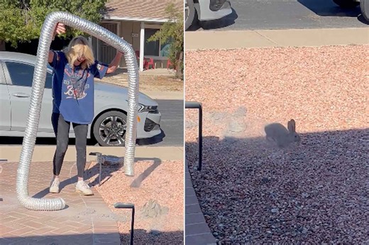 Woman shares stunned reaction after a literal dust bunny emerges from dryer vent hose (exclusive)