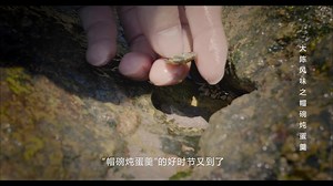 The steamed egg tastes like pudding.Now we put some shellfish in and make it more delicious. #Cuisine #Egg #Cooking #Zhejiang #Taizhou #Jiaojiang #Dachen #Island | Discover Jiaojiang
