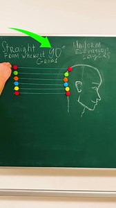 224K views · 350 reactions | Hair Cutting Hacks Used by Professionals! | Crafty Panda | Facebook