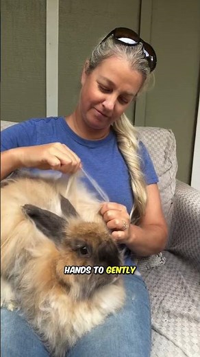 The Truth Behind Angora Rabbit Wool Collection