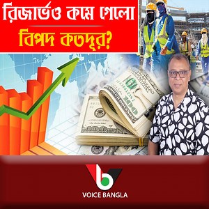 247K views · 8.2K reactions | রিজার্ভও কমে গেলো বিপদ কতদূর? | Voice Bangla | Facebook