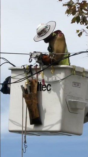 Why Altec Supply