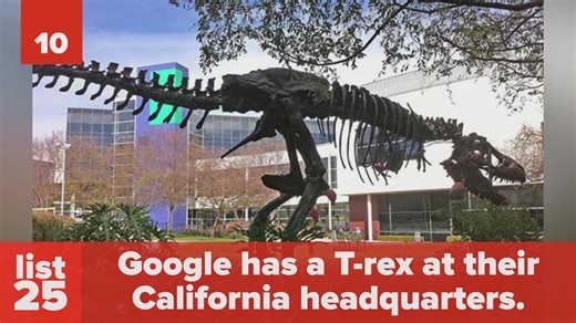 Fascinating facts about the world's biggest search engine you'll be glad to know