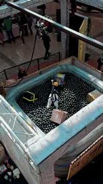 FEAR FACTOR: Reality TV Fun Without Snakes, Spiders, Or Creepy Crawlies