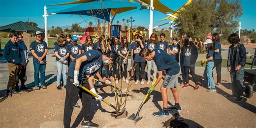 Check your Las Vegas ZIP Code: You may qualify for a free tree