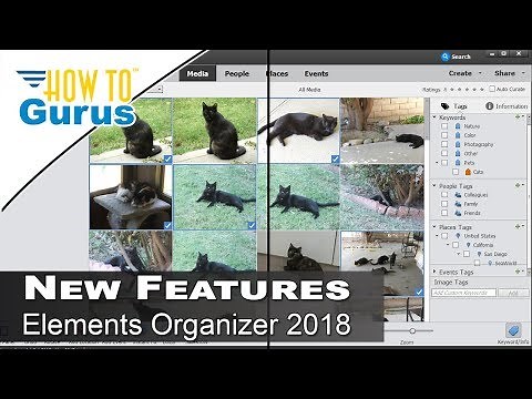 How You Can Use the Photoshop Elements Organizer 2018 New Features and Tools
