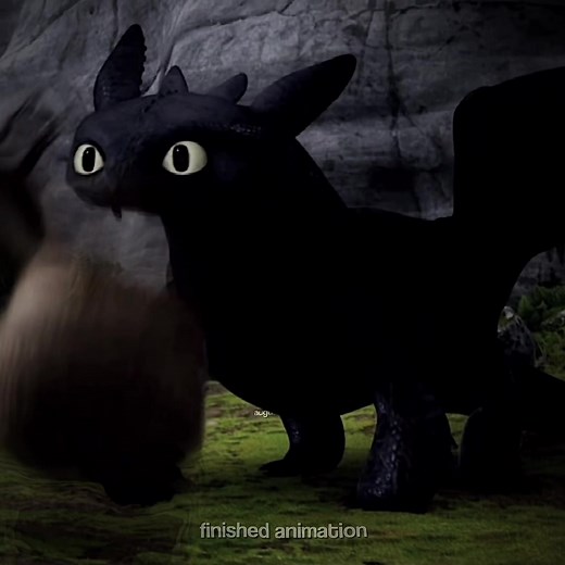 Toothless and Light Fury Animation Transformation