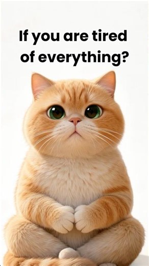 Why Are You REALLY Tired? (It's Not the Road) - ZenCat