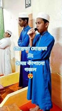 মোস্তফা মোস্তফা ﷺ | হৃদয় ছুঁয়ে যাওয়া গজল | Mostafa Mostafa Gojol