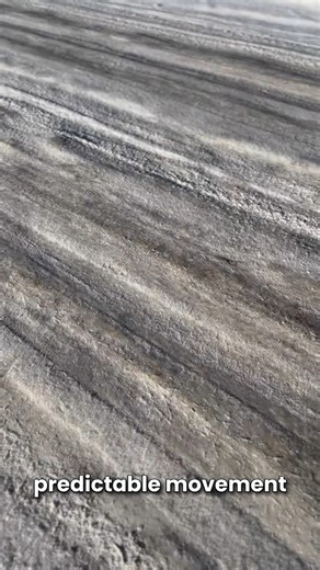 🐇 Why does a hare run in loops? In this video, we can see a hare using a classic escape strategy known as looping 🔄. When a predator is nearby, the hare suddenly changes direction, runs in wide circles and may even cross its own tracks. This behaviour helps confuse predators that rely on speed, scent or straight-line pursuit 🐾. By breaking predictable movement patterns, the hare gains precious seconds to escape. What may look chaotic is actually a smart, evolved survival tactic 🧠 — shaped by