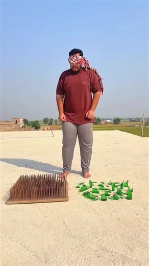 Jumping On Nails Barefoot | Wickey Mickey