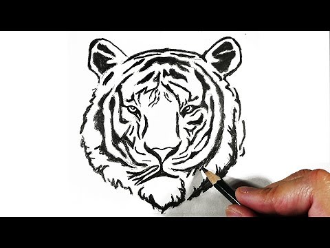 Cómo dibujar un tigre con lápiz fácil paso a paso explicado