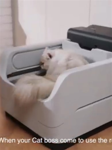 PETALAS : THE NEXT-GEN CAT LITTER BOX WITH A.I. HEALTH TRACKING | #Kickstarter | Gizmo-Hub.com ➤ PRE-ORDER THE PETALAS - https://petalas-the-next-gen-cat.kckb.me/197f3629 ➤ Watch Video - https://youtu.be/nYIBA_BxDRw ➤ Trending Products on Amazon - https://amzn.to/3Qy89N9