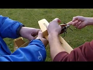 Cox 0.49cc engine - control line plane