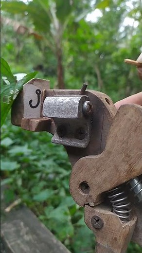 Slingshot with fishing hook