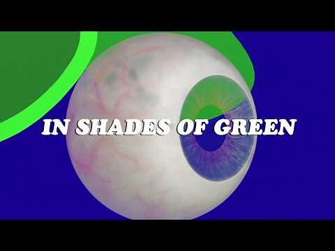 Small Faces - Itchycoo Park (Official Lyrics Video)