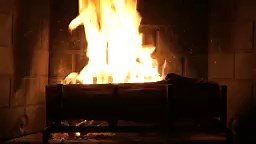 Watch the holiday yule log