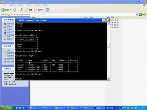 mysql特级课视频教程