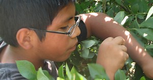 Migrant Farmworker Students & Families