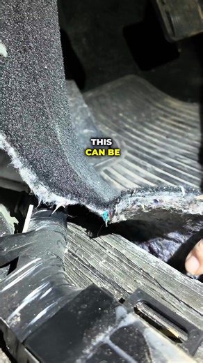 16K views · 196 reactions | Is Your Sunroof Secretly Leaking? Most people don’t even know their sunroof has drain tubes. We found one that came loose and caused rust, soaked carpet, and airbag discoloration. Have you ever dealt with water sneaking in like this? #WorkTruck #SunroofLeak #TruckLife | Whiteface Ford | Facebook