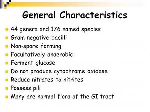 Part 1 Enterobacteriaceae 1