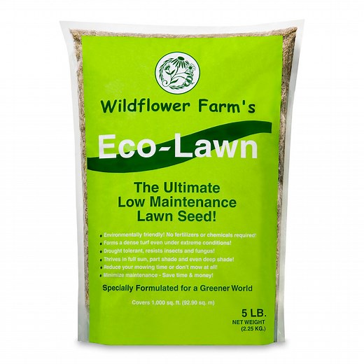 Wildflower Farm's Eco-Lawn Organic Grass Seed 5 lbs - Eartheasy