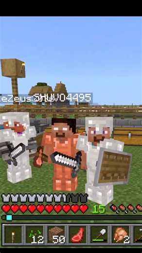 “Lava, mobs aur team… sab ek sath 😱 | Minecraft”