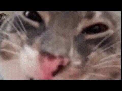 Static, A roblox animation